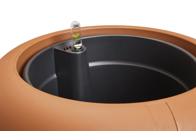 amber roll low 43cm caramelo